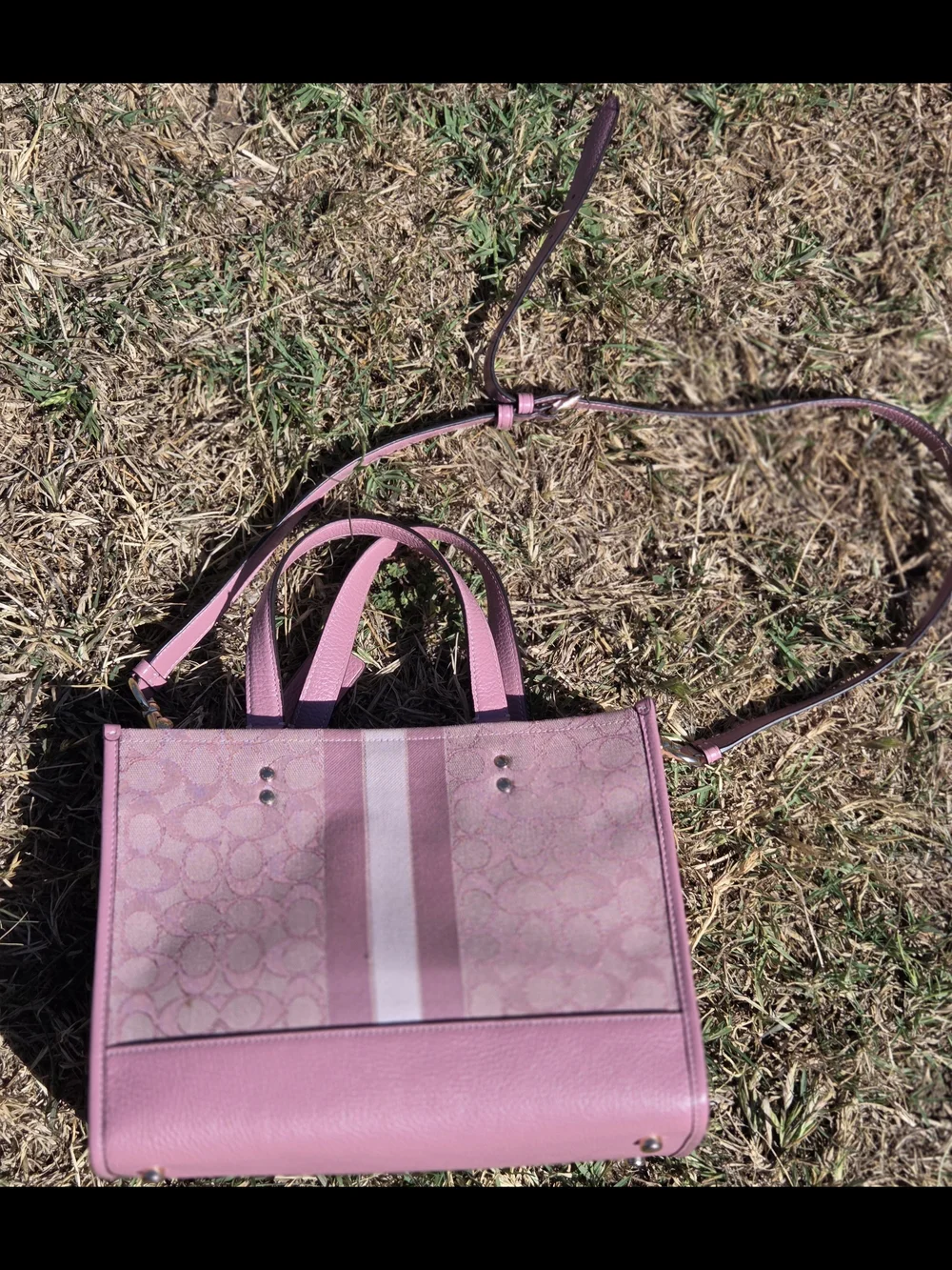COACH Pink Signature Stripe Tote Bag - Picture 6 of 10